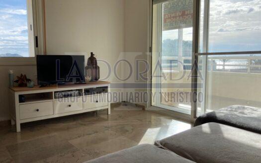 R1008 Vendido 17 Dias!