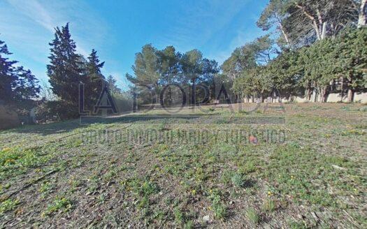 R6178 – Terreno urbanizable en el centro de Almoster – Oportunidad de inversión!