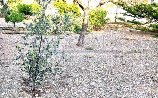 R1252 Parcela en partida el Arenal